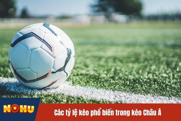 Các tỷ lệ kèo phổ biến trong kèo Châu Á