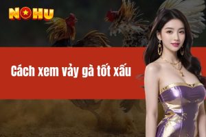 Cách xem vảy gà tốt xấu - Một số loại vảy chiến kê phổ biến