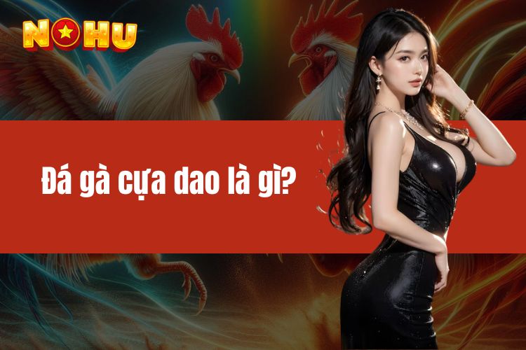 Đá gà cựa dao là gì? Hướng dẫn luật chơi cho anh em tân thủ