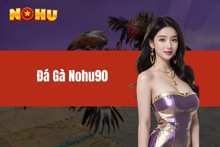 Đá gà NOHU90 - Tận hưởng những trận đấu đầy mãn nhãn