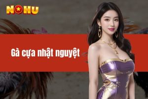 Gà cựa nhật nguyệt - Thông tin về giống chiến kê quý hiếm