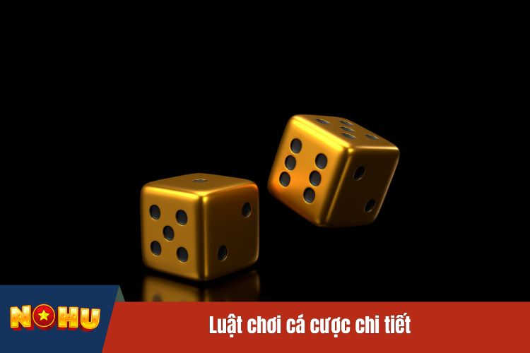 Luật chơi cá cược chi tiết