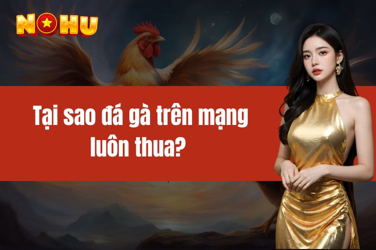 Tại sao đá gà trên mạng luôn thua? Giải pháp tốt cho kê thủ